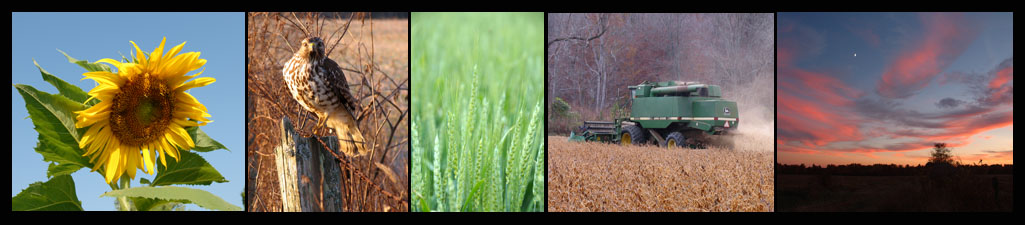 Save an American Farm